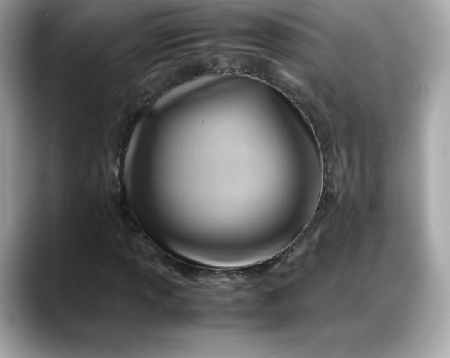 X0000088371013200706051037