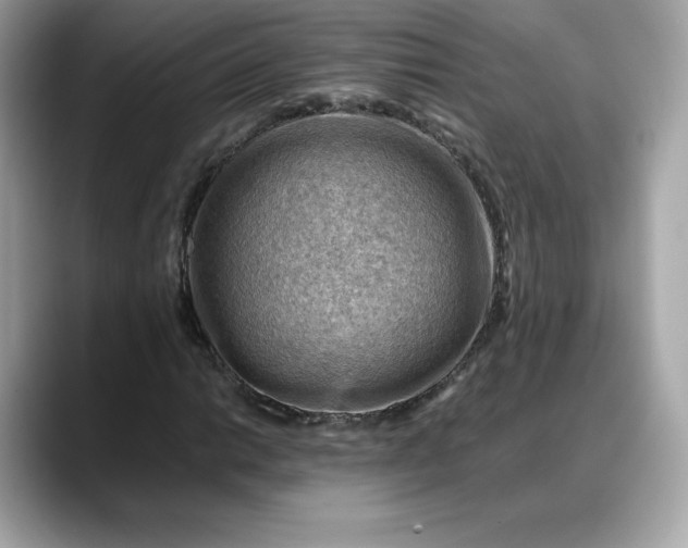 X0000088371014200706051037