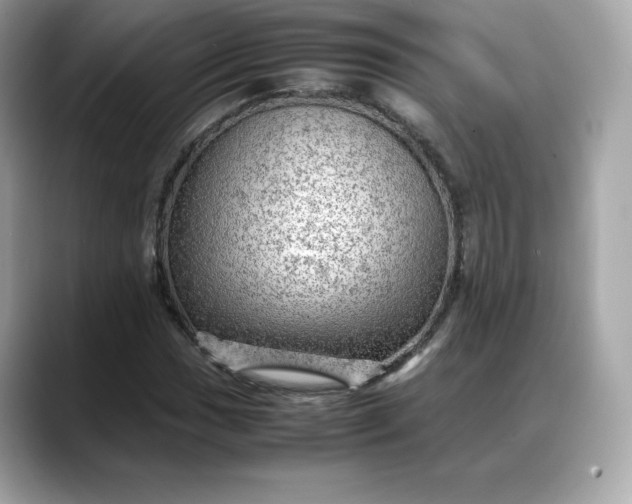 X0000088371017200706051037