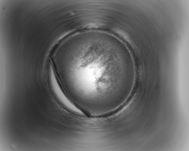 X0000088371018200706051037