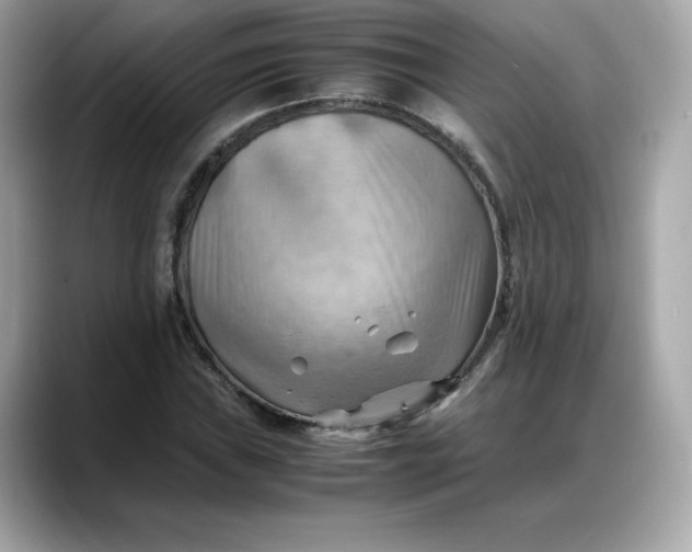 X0000088371019200706051037