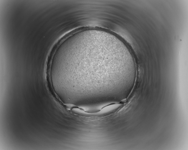 X0000088371020200706051037