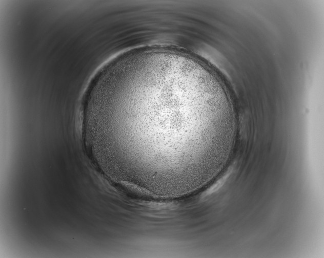 X0000088371021200706051037