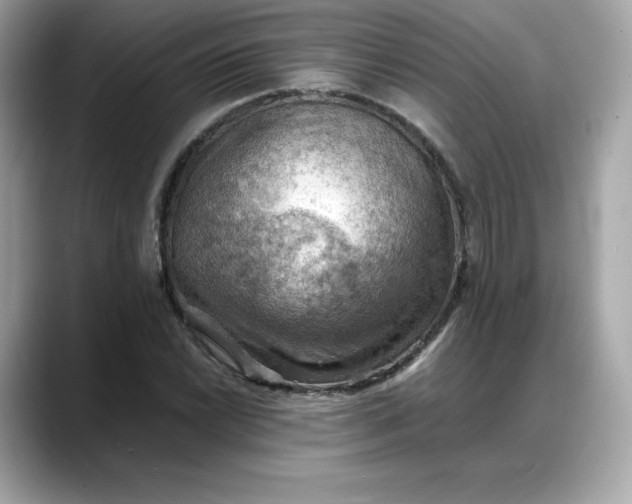 X0000088371022200706051037
