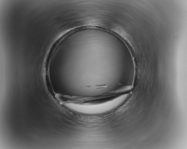 X0000088371024200706051037