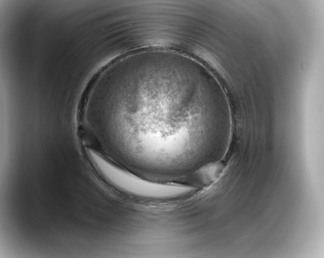 X0000088371026200706051037