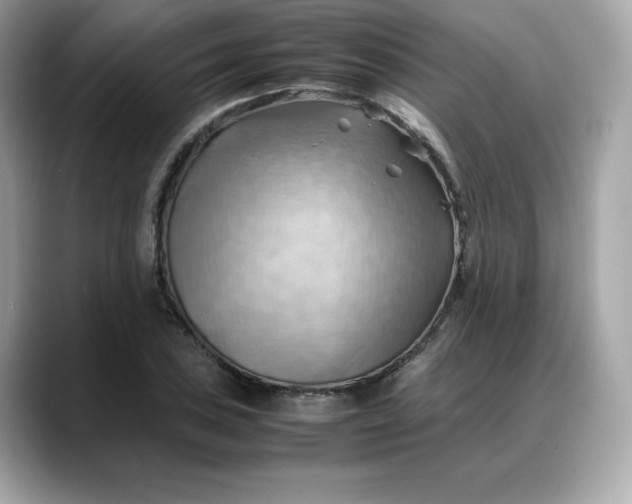 X0000088371027200706051037