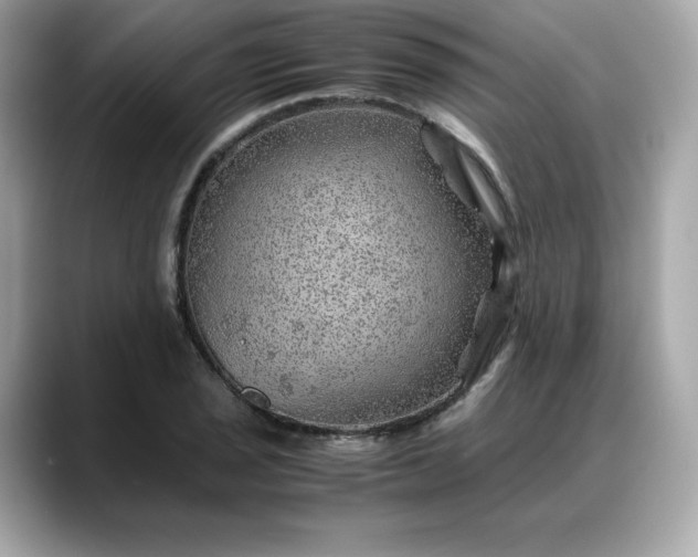 X0000088371029200706051037