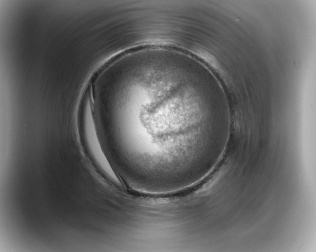 X0000088371030200706051037