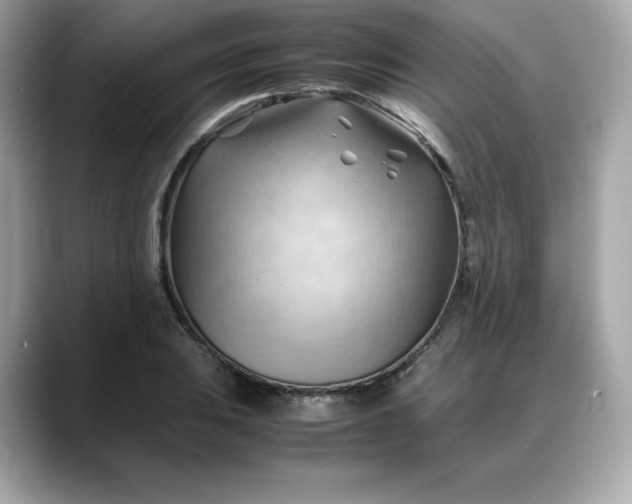 X0000088371031200706051038