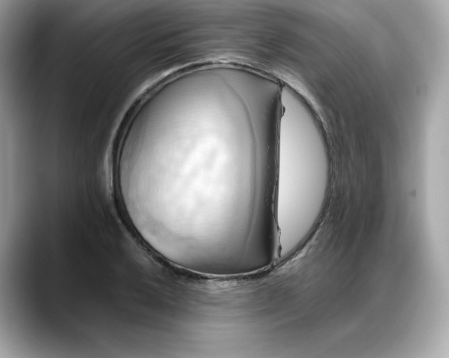 X0000088371032200706051038