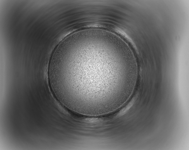 X0000088371033200706051038