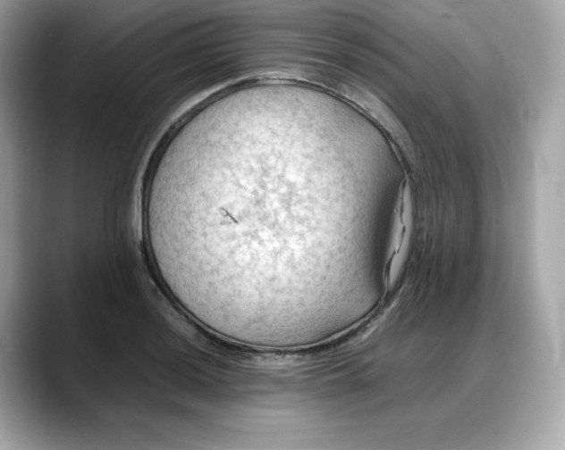 X0000088371036200706051038