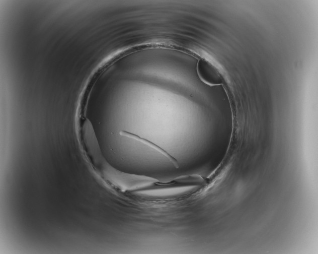 X0000088371037200706051038
