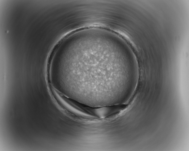 X0000088371038200706051038