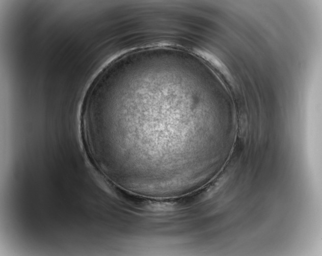 X0000088371039200706051038
