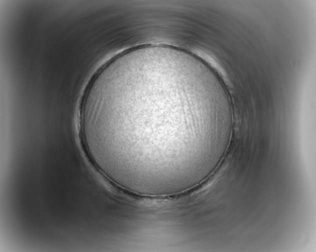 X0000088371040200706051038