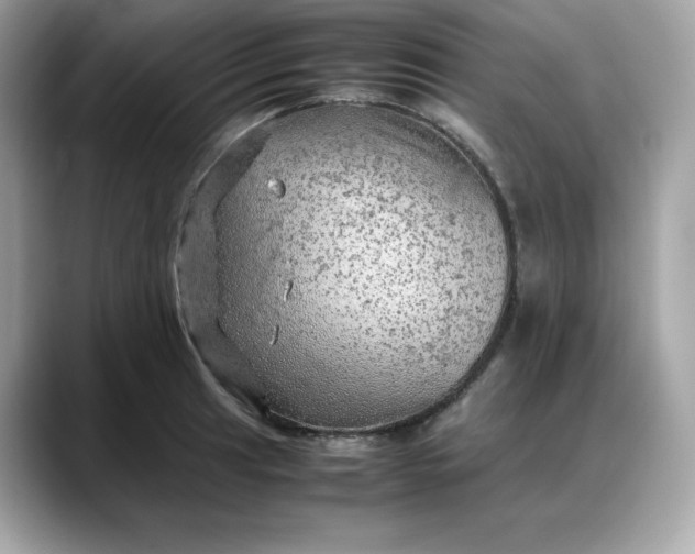 X0000088371041200706051038