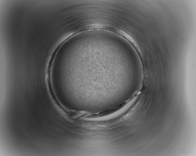 X0000088371042200706051038