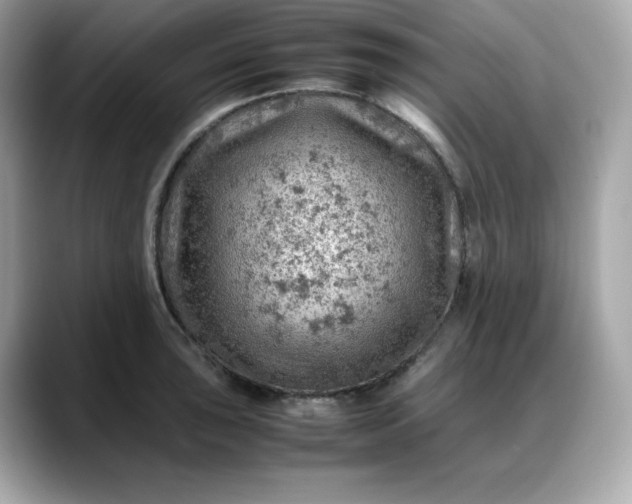 X0000088371043200706051038
