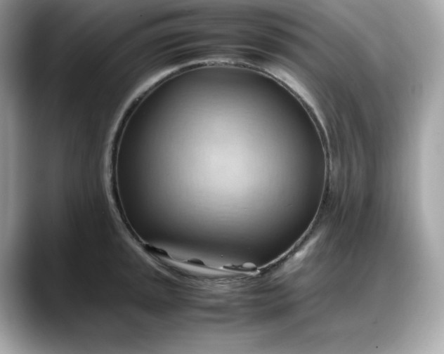 X0000088371045200706051038