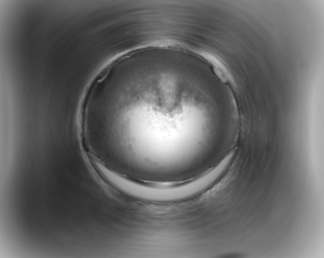 X0000088371046200706051038