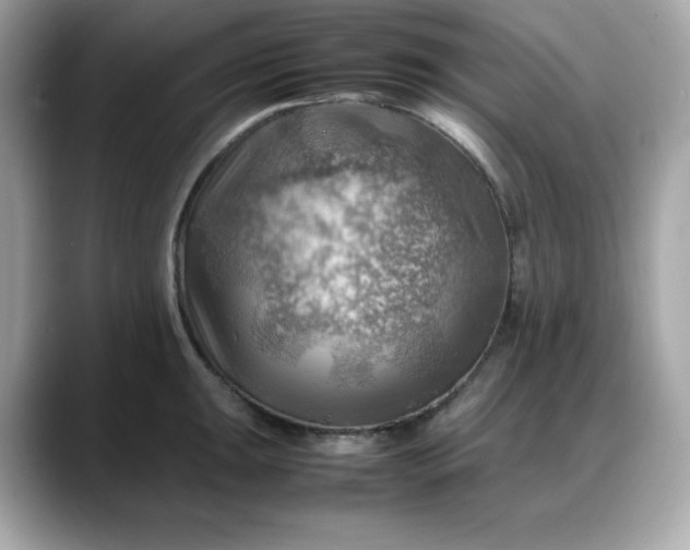 X0000088371047200706051038
