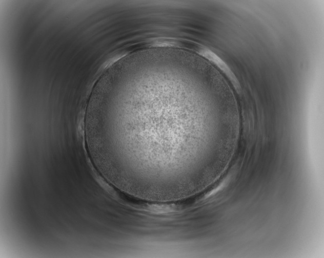 X0000088371049200706051038