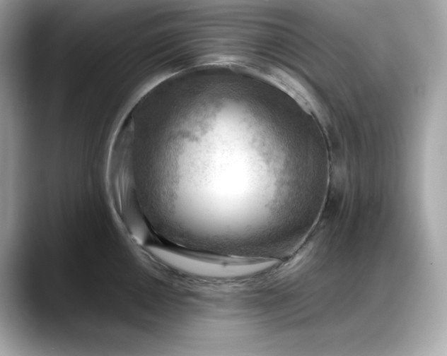 X0000088371050200706051038