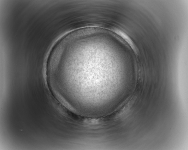 X0000088371051200706051038