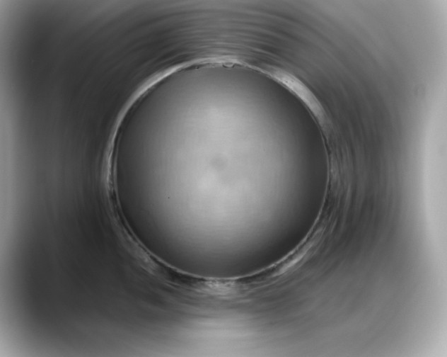 X0000088371052200706051038
