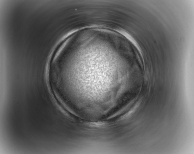 X0000088371053200706051038