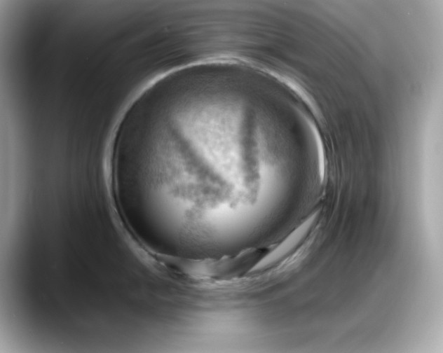 X0000088371054200706051038