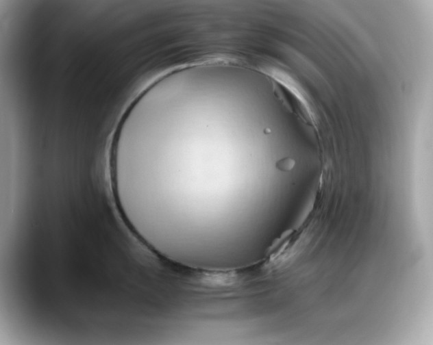 X0000088371055200706051038