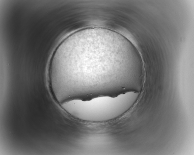 X0000088371056200706051038