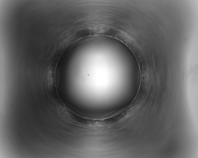 X0000088371058200706051037