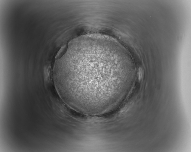 X0000088371059200706051037