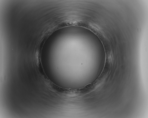 X0000088371060200706051037