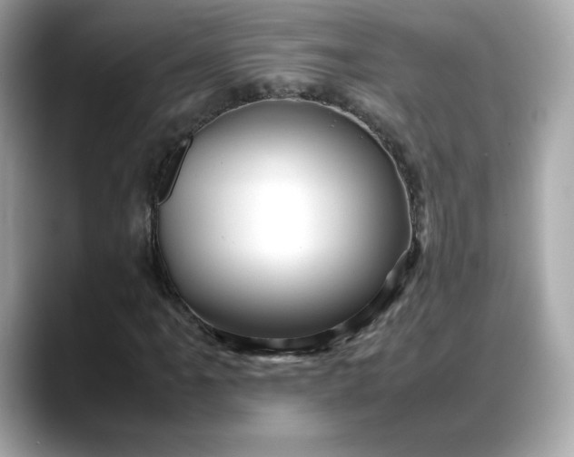 X0000088371061200706051037