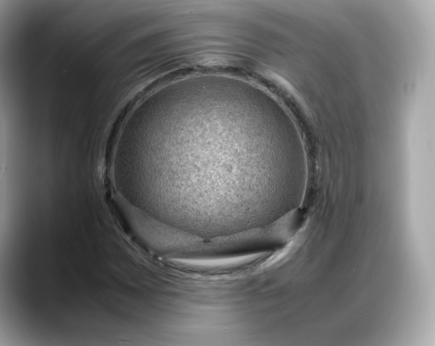 X0000088371065200706051037