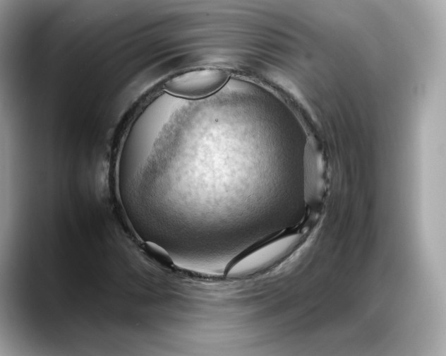 X0000088371066200706051037