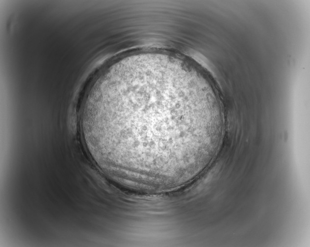X0000088371067200706051037