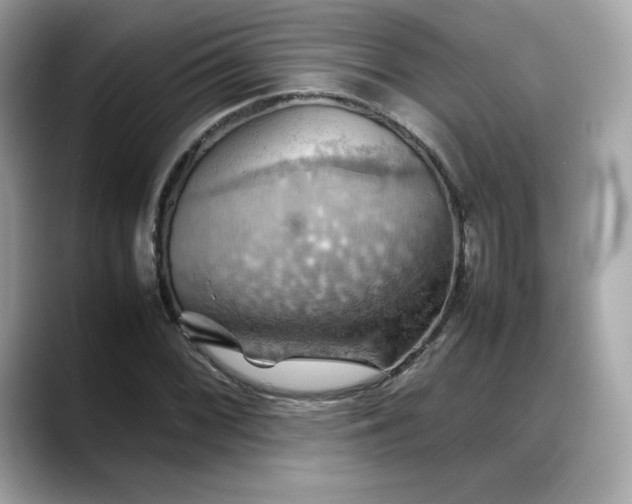 X0000088371068200706051037