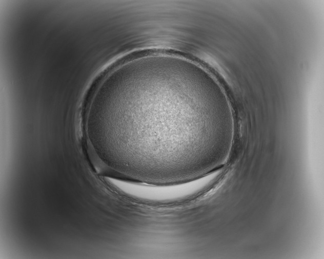 X0000088371069200706051037