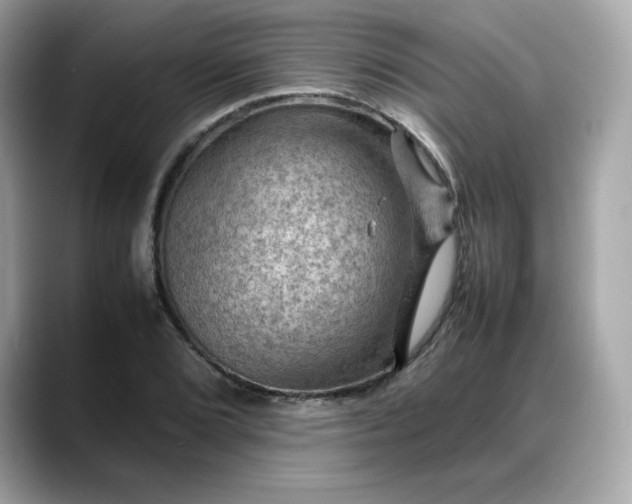 X0000088371072200706051037
