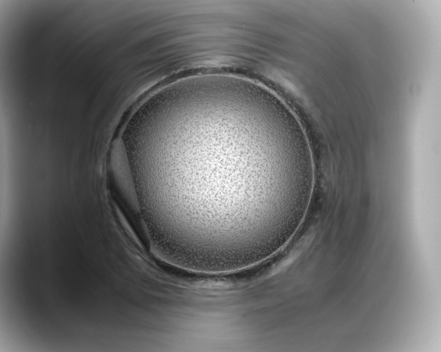 X0000088371073200706051037