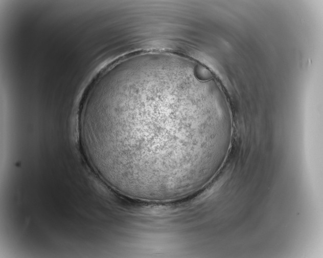 X0000088371075200706051037
