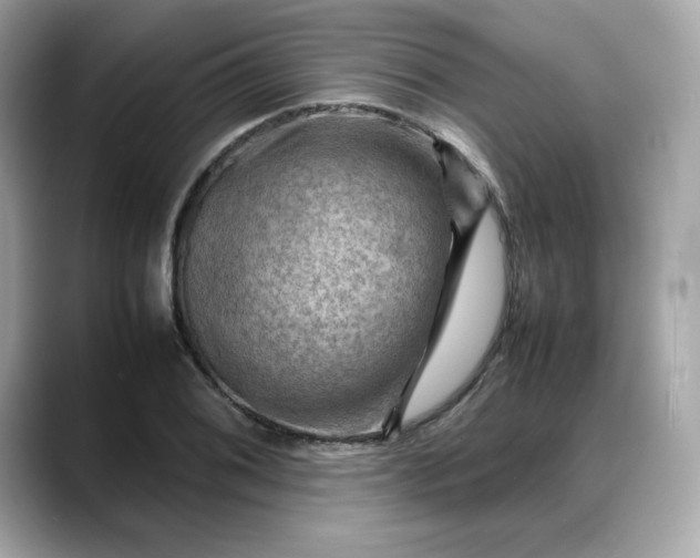 X0000088371076200706051037