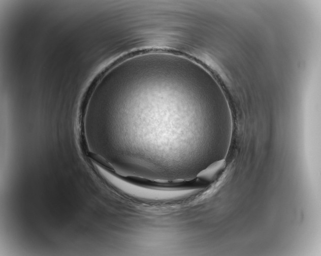X0000088371077200706051037