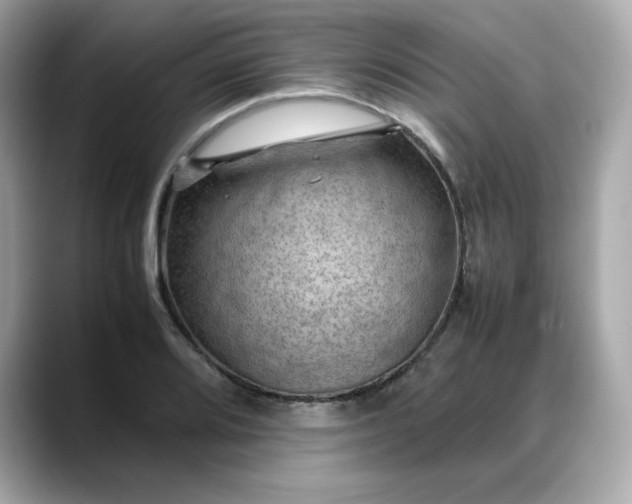 X0000088371080200706051037